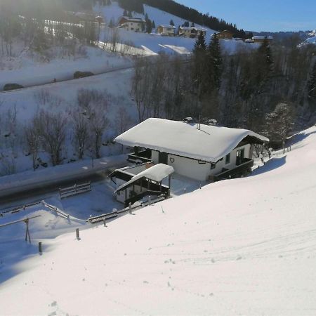Great holiday apartment in Dienten am Hochköni Dienten am Hochkönig Exteriör bild