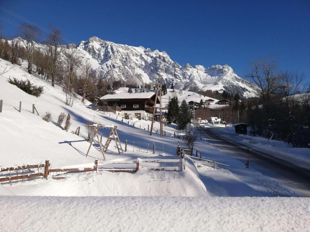 Great holiday apartment in Dienten am Hochköni Dienten am Hochkönig Exteriör bild